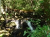 roble08.jpg