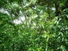 isla-27.jpg